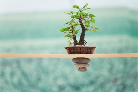 simsearch:649-07803947,k - Potted plant set on wood railing with small stones stacked inversely from beneath rail Foto de stock - Sin royalties Premium, Código: 633-02417727