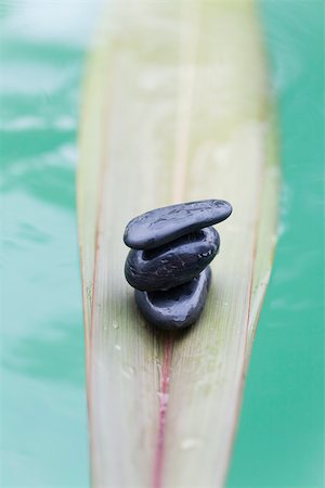 simsearch:633-02417737,k - Stack of stones on palm leaf floating on water Fotografie stock - Premium Royalty-Free, Codice: 633-02417753