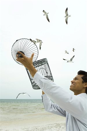 seagulls flying - Man releasing bird at the beach, emZSy bird cage in hands Foto de stock - Sin royalties Premium, Código: 633-02417926