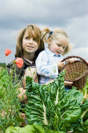 simsearch:633-02417965,k - Sisters crouching by fresh lettuce in field, younger girl holding basket Fotografie stock - Premium Royalty-Free, Codice: 633-02417975