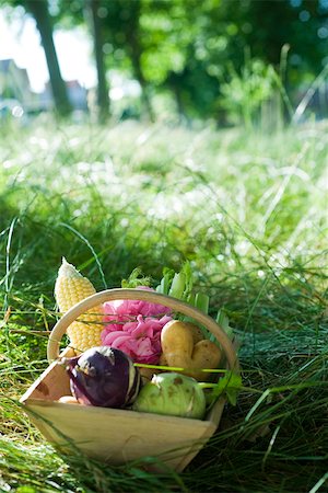 simsearch:633-01274090,k - Panier en bois de légumes sur le sol, l'herbe et les arbres en arrière-plan Photographie de stock - Premium Libres de Droits, Code: 633-02417971