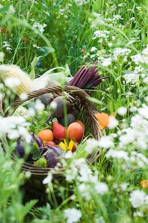 simsearch:633-01274090,k - Panier de fruits et légumes Photographie de stock - Premium Libres de Droits, Code: 633-02417984