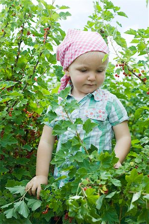 Little girl standing in red currant bush Stock Photo - Premium Royalty-Free, Code: 633-02417986