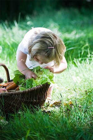 Little girl examining lettuce in basket of vegetables Stock Photo - Premium Royalty-Free, Code: 633-02417980