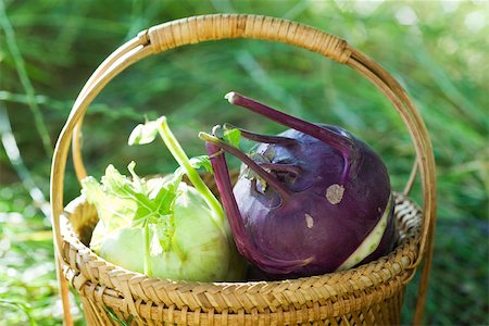 Korb mit frischen kohlrabi Stockbilder - Premium RF Lizenzfrei, Bildnummer: 633-02418028