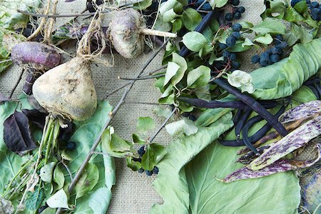 Assortment of vegetables on burlap Foto de stock - Sin royalties Premium, Código: 633-02645248