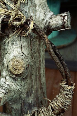 Rope entwined vines and tree trunk Fotografie stock - Premium Royalty-Free, Codice: 633-02645336