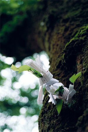 shinto - Omikuji papers tied to tree Foto de stock - Royalty Free Premium, Número: 633-02645347