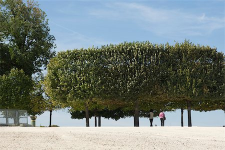 people walking in the distance - France, Paris, people walking under trees in park Stock Photo - Premium Royalty-Free, Code: 633-02691225