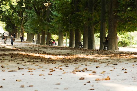 fall pictures of paris - France, Paris, people in tree-lined park Stock Photo - Premium Royalty-Free, Code: 633-02691226