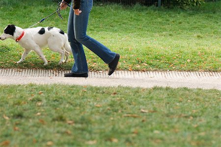 dog collar - Woman walking dog on path, cropped Stock Photo - Premium Royalty-Free, Code: 633-02691260