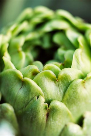 Artichoke, extreme close-up Stock Photo - Premium Royalty-Free, Code: 633-02885628