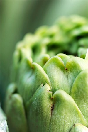 Artichoke, extreme close-up Foto de stock - Sin royalties Premium, Código: 633-02885639