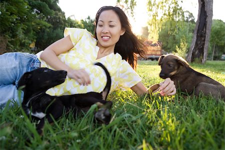 disheveled person - Woman lying in grass playing with two puppies Stock Photo - Premium Royalty-Free, Code: 633-03194531