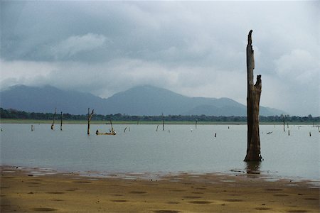 snag tree - Dead trees standing in lake, fisherman in canoe in distance and mountains in background, Sri Lanka Stock Photo - Premium Royalty-Free, Code: 633-03194655