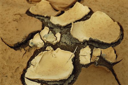 earth crack - Cracking hardpan, close-up of dry ground Foto de stock - Sin royalties Premium, Código: 633-03194653