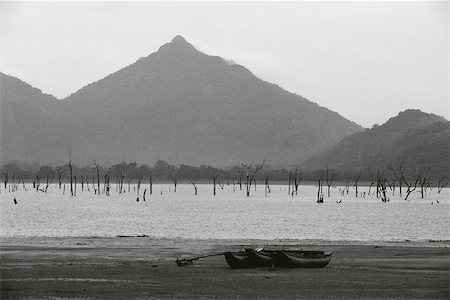 Dead trees standing in lake, canoes on shore, Sri Lanka Stock Photo - Premium Royalty-Free, Code: 633-03194677