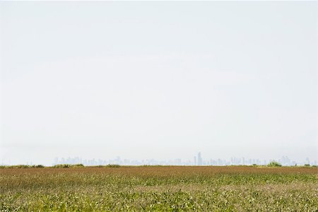 simsearch:614-01870270,k - Field, smog obscured city skyline in distance Stock Photo - Premium Royalty-Free, Code: 633-03194730