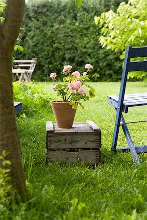 Chair next top potted geranium in backyard Stock Photo - Premium Royalty-Free, Code: 633-03444815