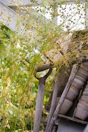 Gardening tools in overgrown garden Stock Photo - Premium Royalty-Free, Code: 633-03444810