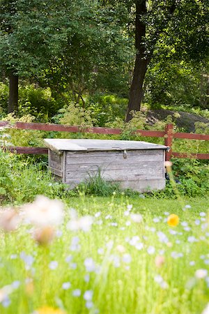 Caisse de stockage dans l'arrière-cour de verrouillé Photographie de stock - Premium Libres de Droits, Code: 633-03444825