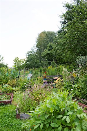 planteur - Jardin Photographie de stock - Premium Libres de Droits, Code: 633-03444850