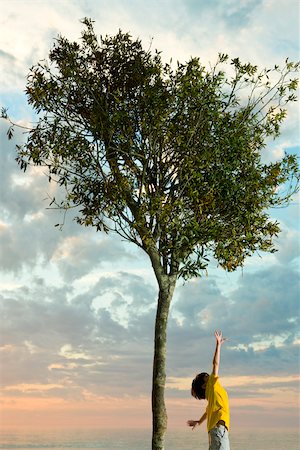 Junge unter Baum Zweige zu erreichen Stockbilder - Premium RF Lizenzfrei, Bildnummer: 633-03445013