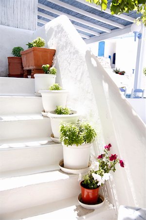 simsearch:400-08371615,k - Plants on whitewashed steps Fotografie stock - Premium Royalty-Free, Codice: 644-01437596
