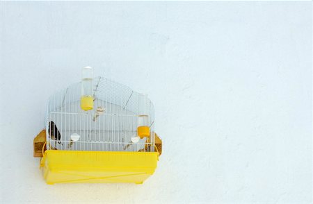 simsearch:644-01437815,k - Bird in a cage Stock Photo - Premium Royalty-Free, Code: 644-01437727