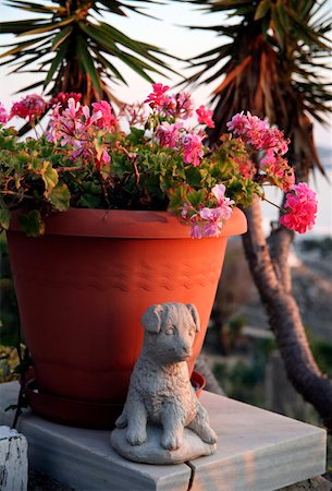 Pot de fleur avec la statue de chien Photographie de stock - Premium Libres de Droits, Code: 644-01437808