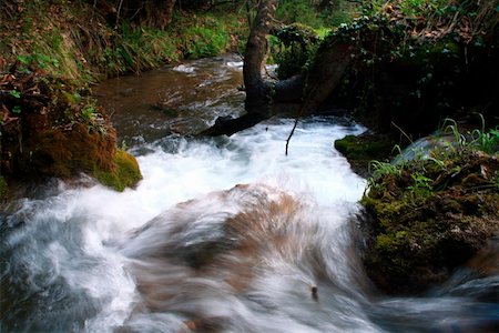 Fluss Rauschen durch Wald Stockbilder - Premium RF Lizenzfrei, Bildnummer: 644-01437967