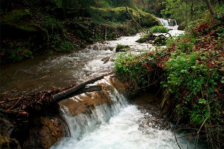 Wasserfall im Wald Stockbilder - Premium RF Lizenzfrei, Bildnummer: 644-01437973