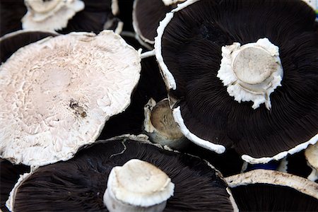 simsearch:644-01630678,k - Champignons Photographie de stock - Premium Libres de Droits, Code: 644-01630767