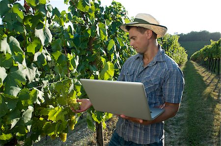 people studying nature - Young man in vineyard holding laptop Stock Photo - Premium Royalty-Free, Code: 644-03405447