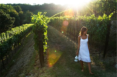 Young woman in vineyard holding lantern Foto de stock - Sin royalties Premium, Código: 644-03405464