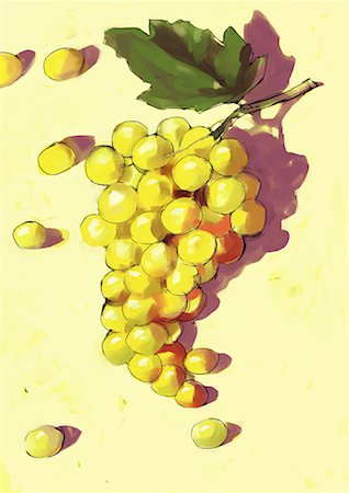 A bunch of grapes Fotografie stock - Premium Royalty-Free, Codice: 645-01740312