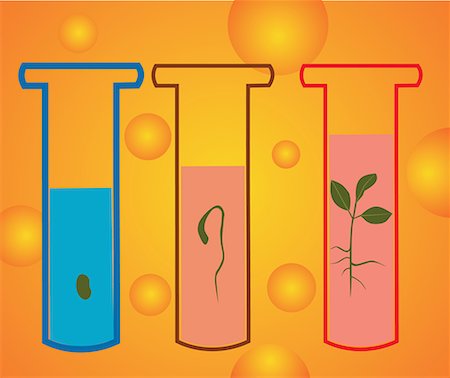 Closeup of test tubes with growing plants Stock Photo - Premium Royalty-Free, Code: 645-02153638