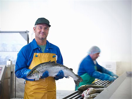 pesca (industria) - Fishmonger holding catch of the day Foto de stock - Sin royalties Premium, Código: 649-05649443