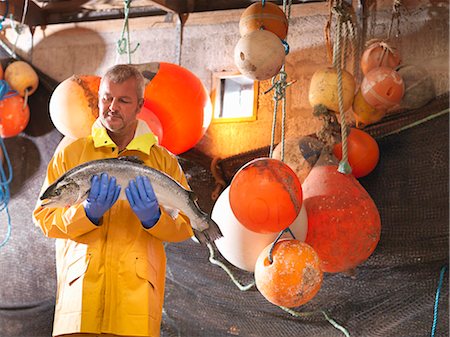 saumon (animal) - Saumon holding pêcheur sur bateau Photographie de stock - Premium Libres de Droits, Code: 649-05649523