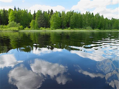 Trees reflected in still lake Stock Photo - Premium Royalty-Free, Code: 649-05657123