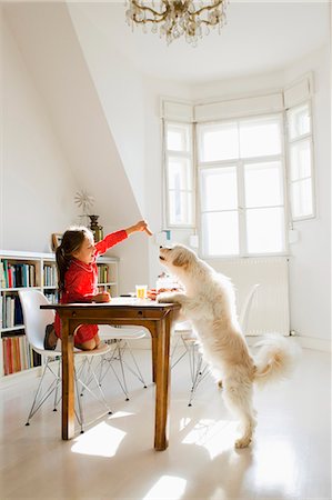 Girl feeding dog at table Stock Photo - Premium Royalty-Free, Code: 649-05800979