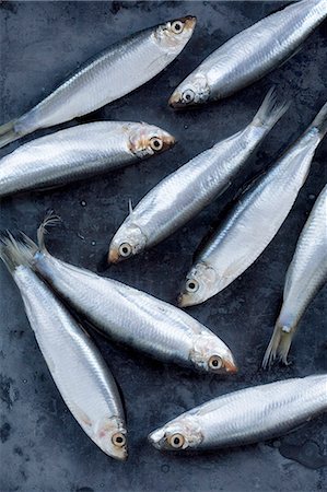 poisson mort - Gros plan des poissons de friture Photographie de stock - Premium Libres de Droits, Code: 649-05801726