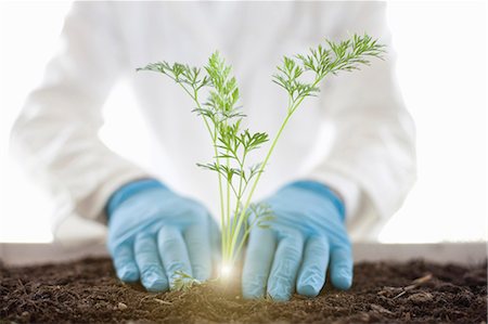 people holding saplings - Scientist planting glowing plant Stock Photo - Premium Royalty-Free, Code: 649-05802376