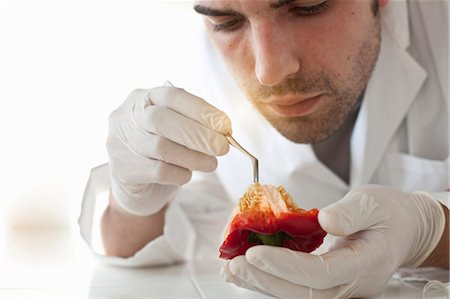 pinzette - Scientist examining seeds of bell pepper Fotografie stock - Premium Royalty-Free, Codice: 649-05802382