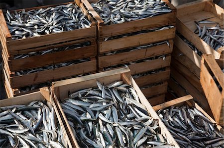 stack of boxes - Freshly caught fish in crates Stock Photo - Premium Royalty-Free, Code: 649-05802416