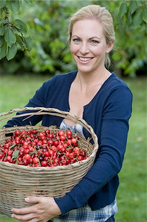 fruit in farm pick - Woman carrying basket of cherries Stock Photo - Premium Royalty-Free, Code: 649-05819813