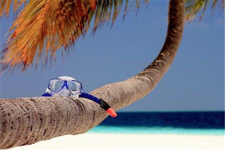 Snorkeling mask on palm tree at beach Foto de stock - Sin royalties Premium, Código: 649-05950451