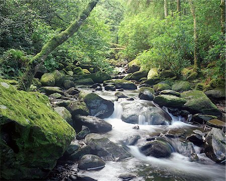 Time lapse de rivière se précipiter sur les rochers Photographie de stock - Premium Libres de Droits, Code: 649-05950527