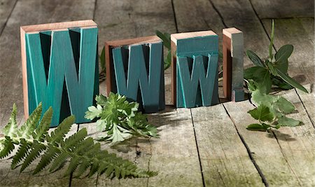 education and still life - Wooden blocks spelling www. Foto de stock - Sin royalties Premium, Código: 649-05951241