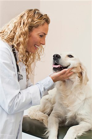 simsearch:649-06001001,k - Chien caresser vétérinaire au bureau Photographie de stock - Premium Libres de Droits, Code: 649-06000974